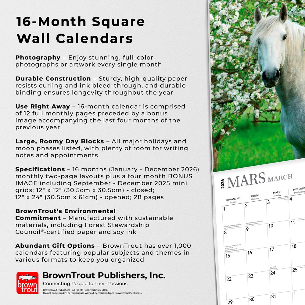 Chevaux | 2026 12 x 24 Inch (Hanging) Monthly Square Wall Calendar | French Language