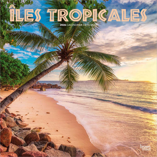 Îles Tropicales | 2026 12 x 24 Inch (Hanging) Monthly Square Wall Calendar | French Language