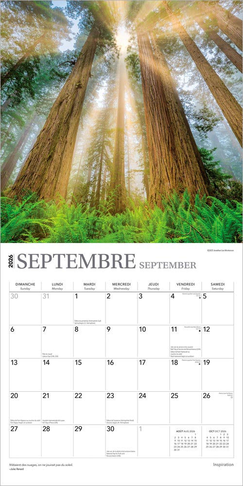 Inspiration | 2026 12 x 24 Inch (Hanging) Monthly Square Wall Calendar | French Language