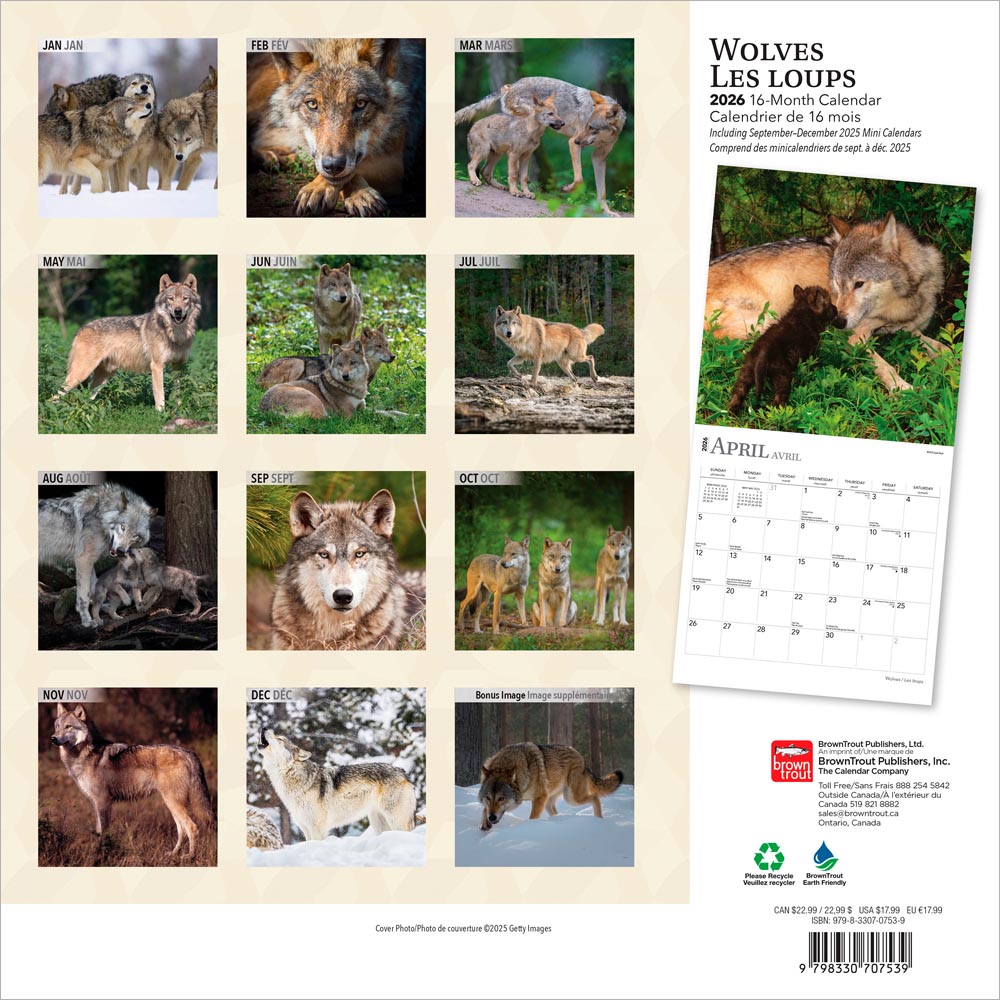 Wolves | 2026 12 x 24 Inch (Hanging) Monthly Square Wall Calendar | English/French Bilingual