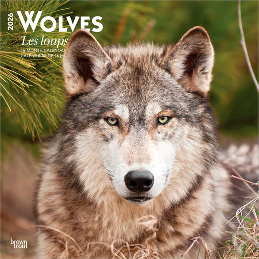Wolves | 2026 12 x 24 Inch (Hanging) Monthly Square Wall Calendar | English/French Bilingual