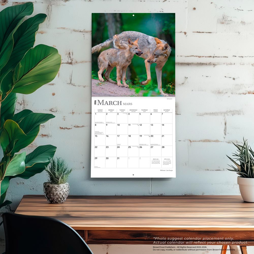 Wolves | 2026 12 x 24 Inch (Hanging) Monthly Square Wall Calendar | English/French Bilingual