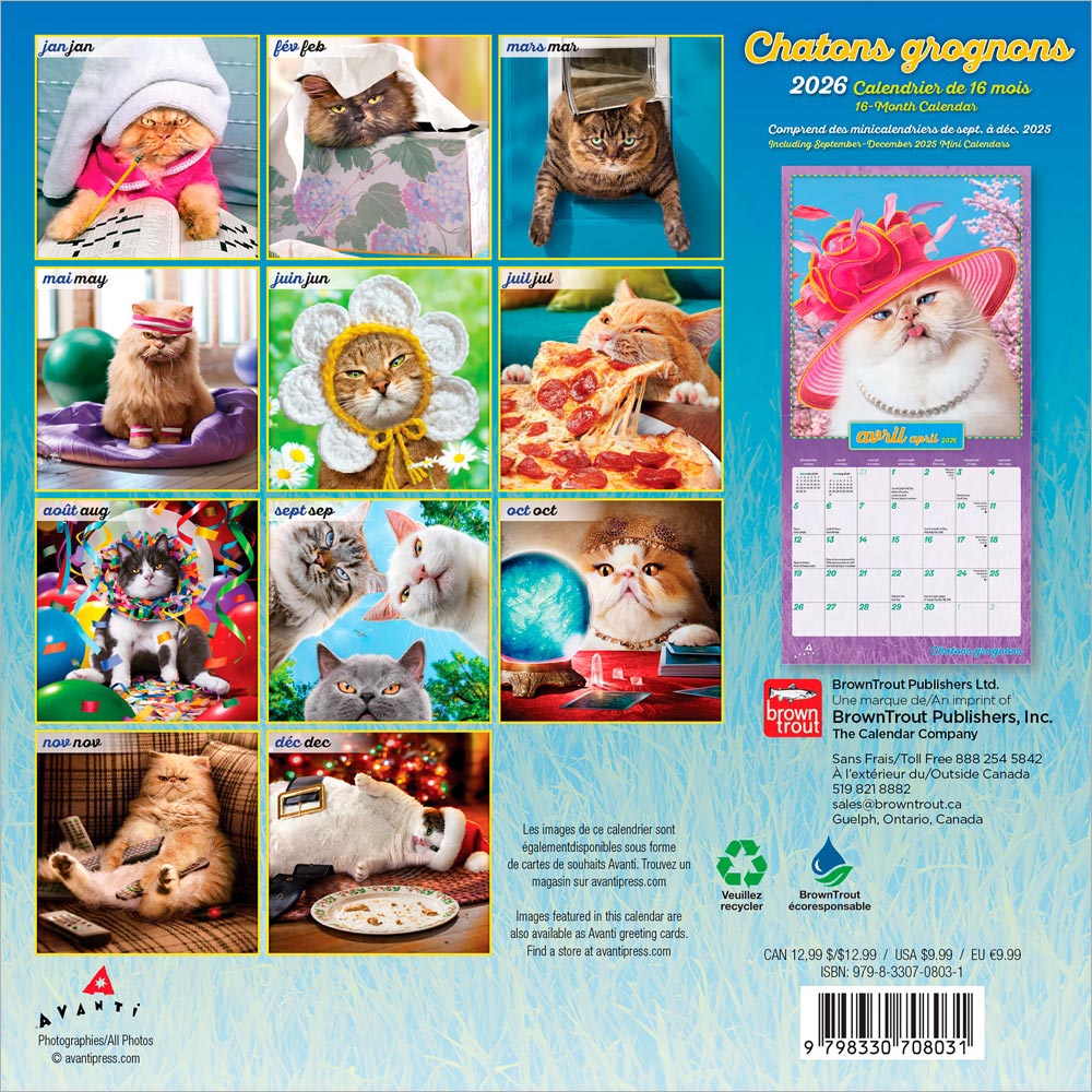 Avanti Chatons Grognons OFFICIEL | 2026 7 x 14 Inch (Hanging) Monthly Mini Wall Calendar